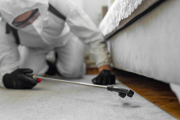Professional Bed Bug Control technician working in Pico Rivera, CA