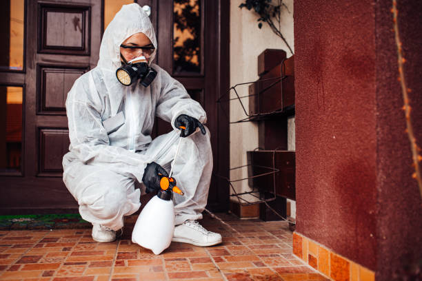Reliable Bed Bug Control contractor in Pico Rivera, CA by Nex Pest Control
